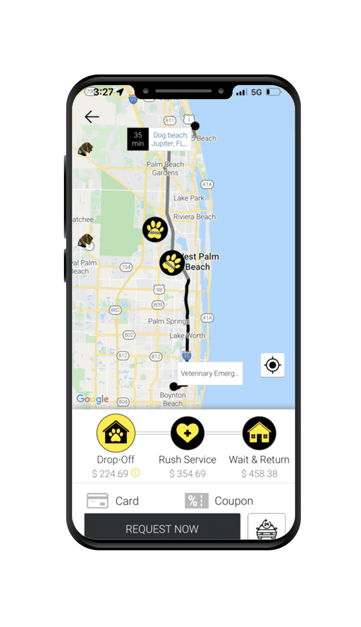 pet taxi carrier