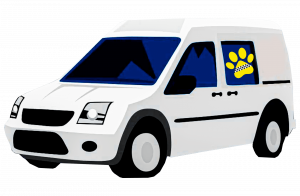 Pet transport service chicago