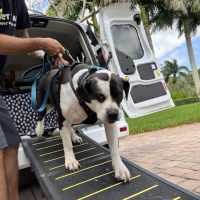 IMG_02372