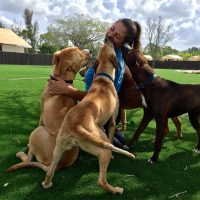 deewithdogs2